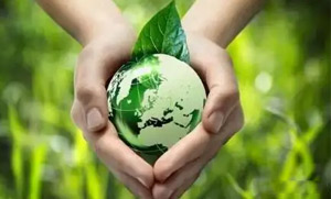 环球零碳（近零碳）发展战略和实施方案